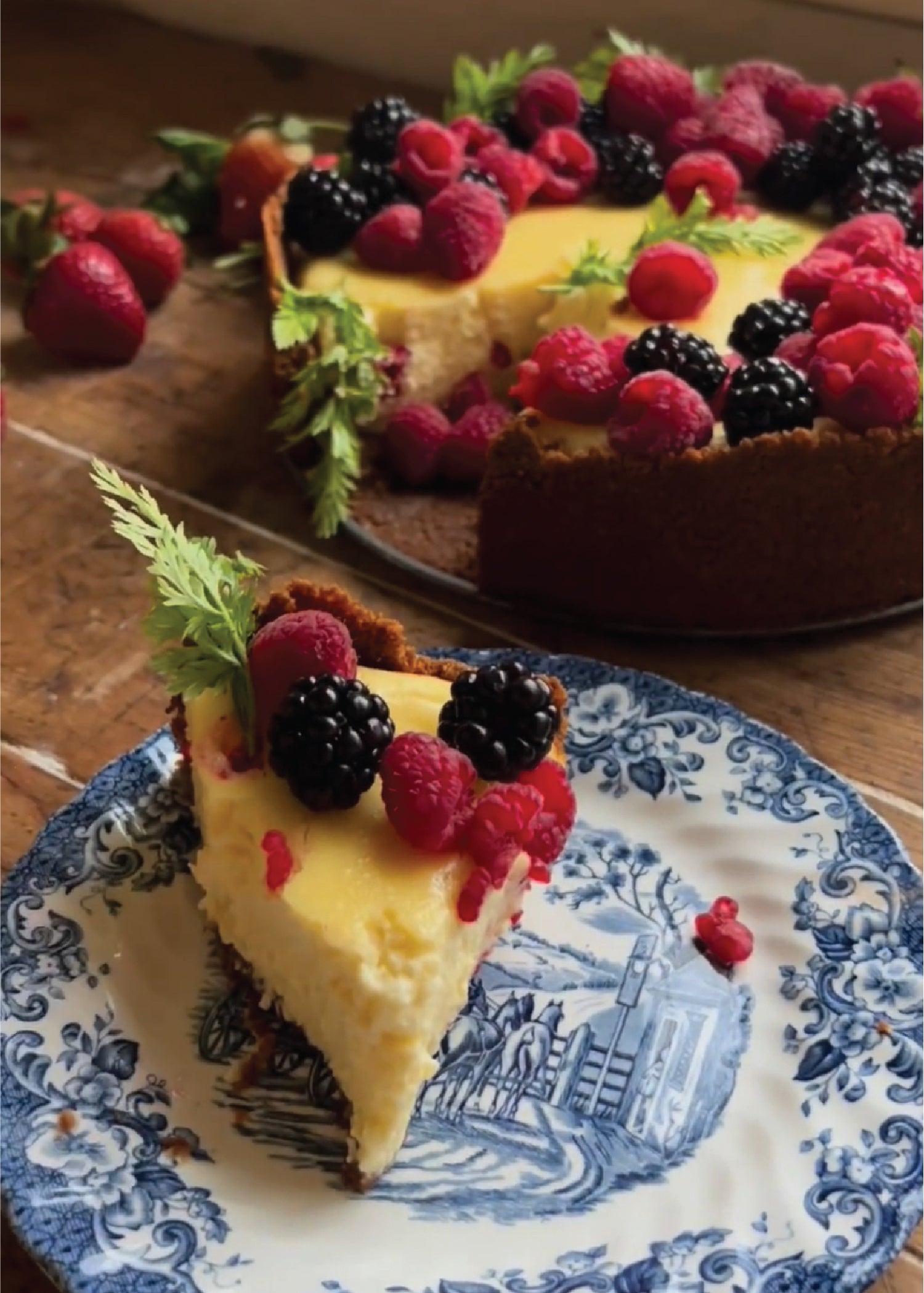 Lemon Cheesecake with Homemade Crust