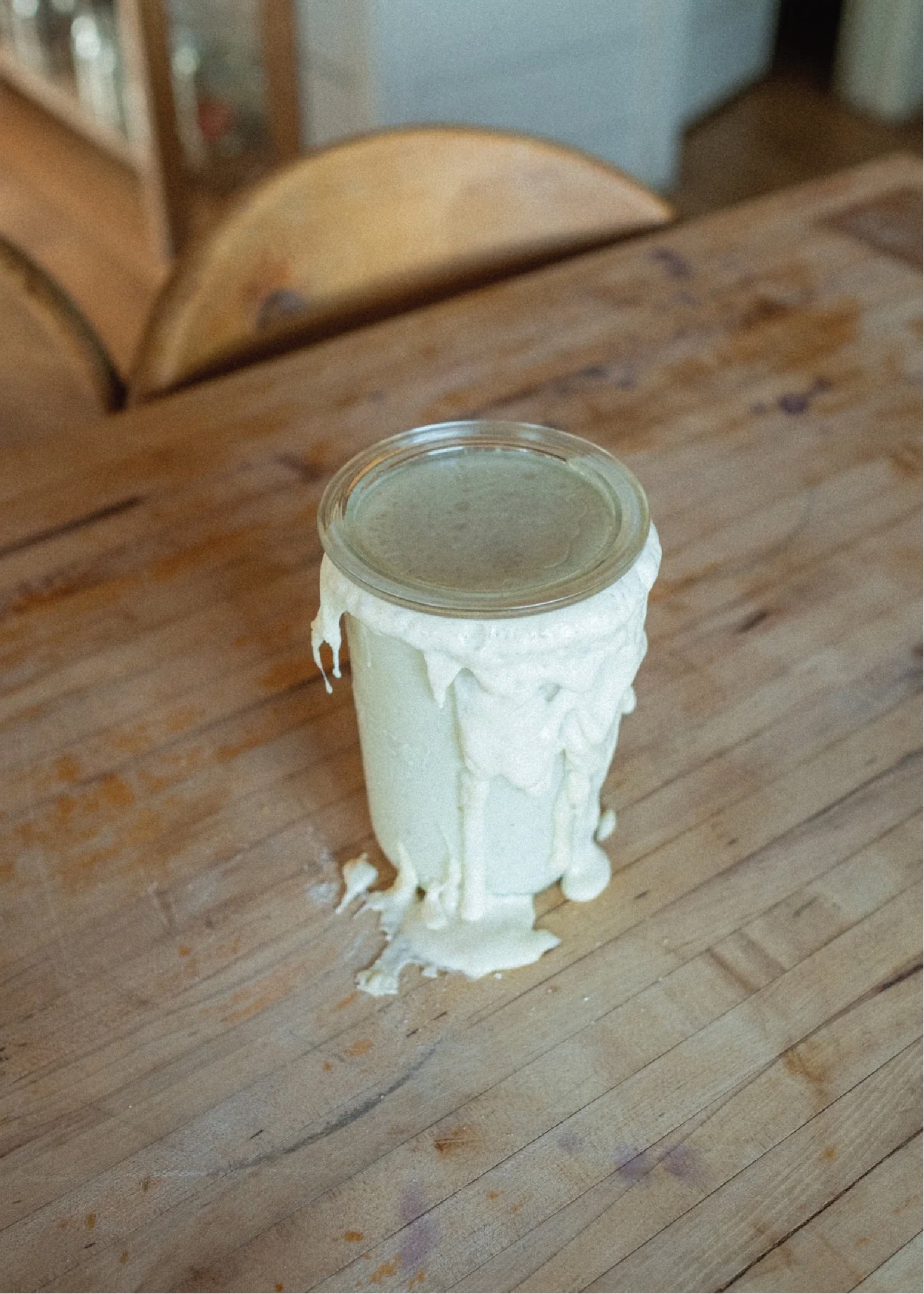 Willa Sourdough Starter Daily Feeding Instructions