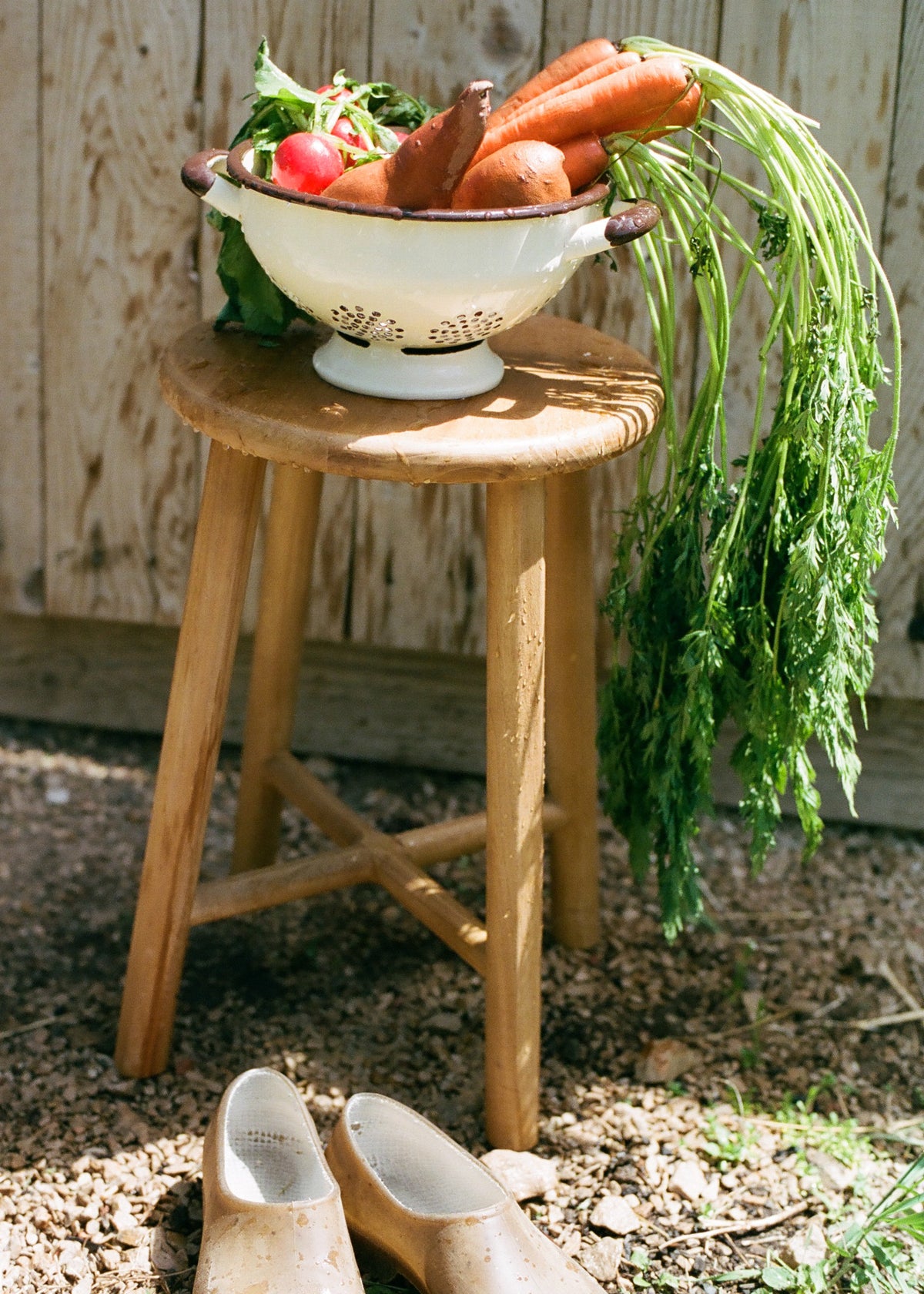 Enamel Colander