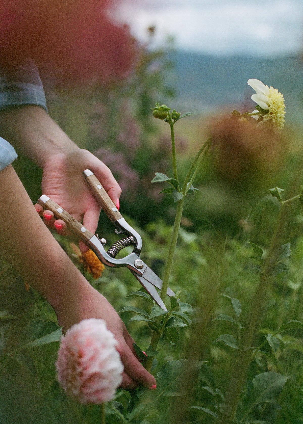 Flower Shears